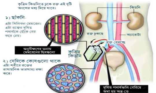 shuvo_7