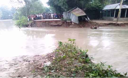 তারাকান্দি, গোপালপুর, ভুয়াপুর, ঘাটাইল, মধুপুর, টাঙ্গাইল পানি উন্নয়ন বোর্ড, বালির বস্তা, জিও ব্যাগ, বাঁধ রক্ষা
