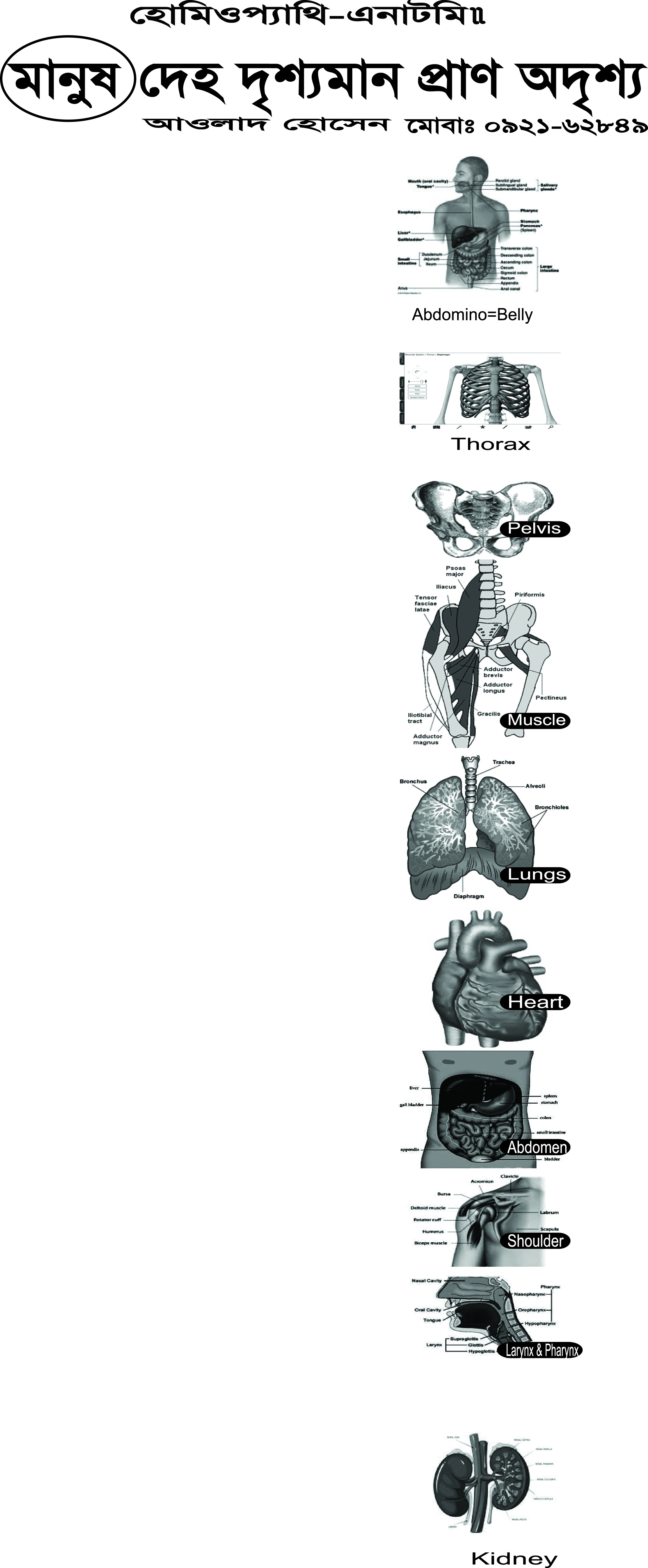 Picture-1
